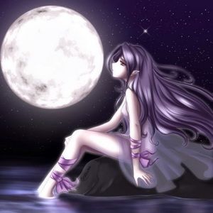 Meet your Posher, Winter